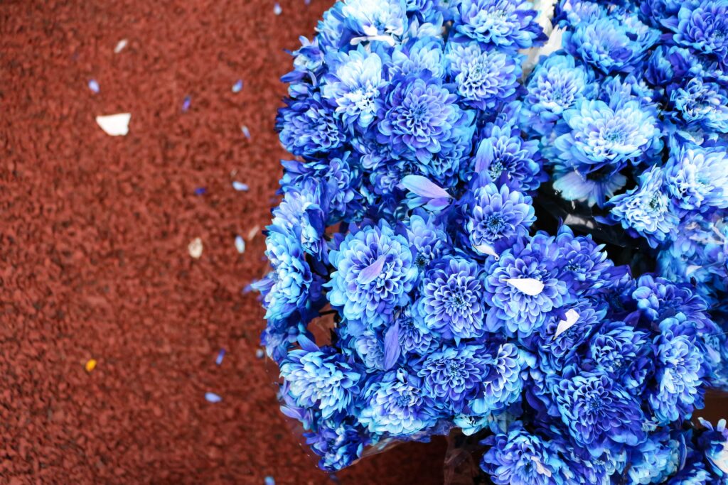 Vibrant Blue Flower Bouquet on Textured Red Background Wallpaper