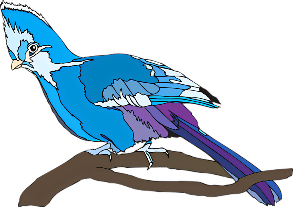 Vibrant Blue Jay Illustration on Branch - Colorful Wallpaper