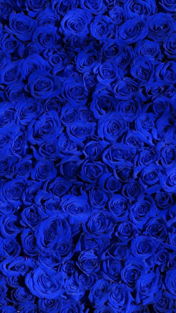 Vibrant Blue Roses Wallpaper: Rich Floral Tapestry Background