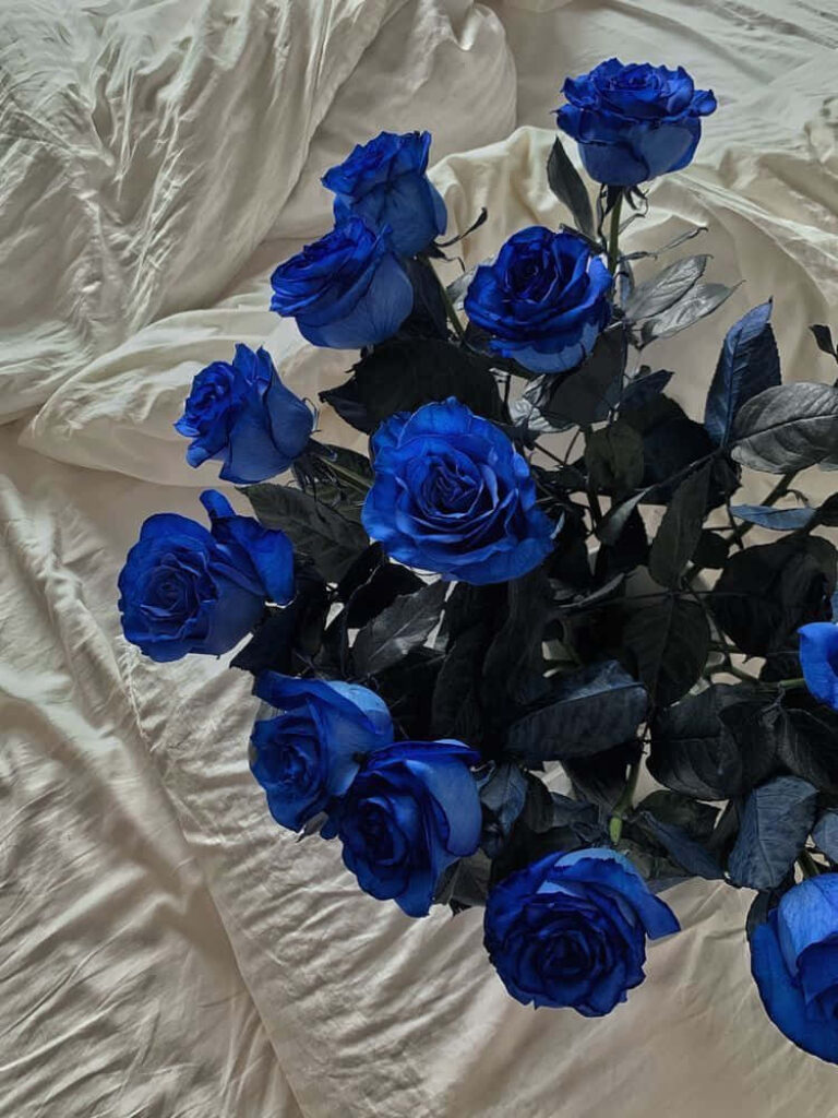 Elegant Blue Roses Bouquet on Soft White Bedspread Background Wallpaper