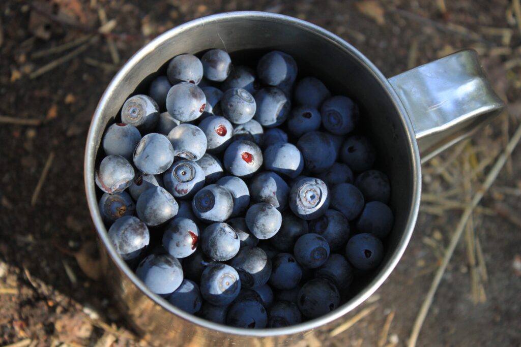 Vibrant Blueberry Wallpaper: Metallic Cup, Rich Colors & Texture