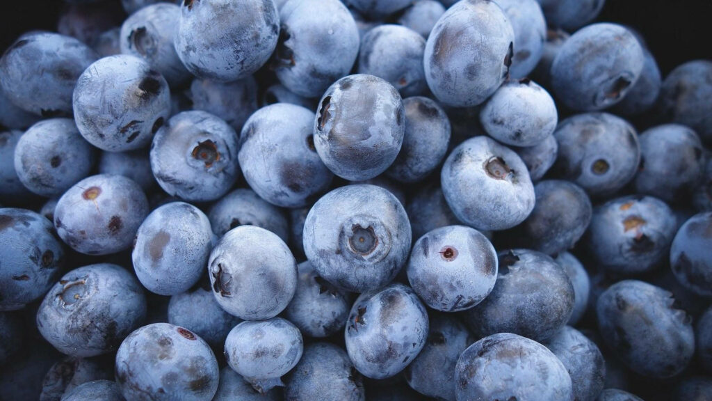 Vibrant Blueberry Close-Up Wallpaper: Fresh & Natural Texture Background