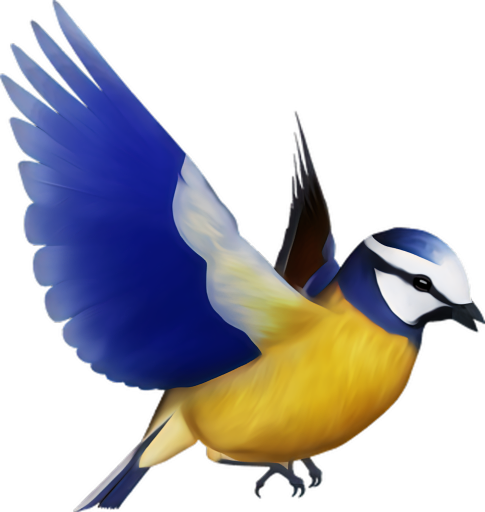 Vibrant Bluebird Wallpaper: Detailed Mid-Flight Elegance