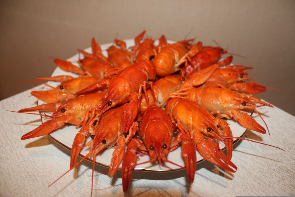 Vibrant Crayfish Wallpaper: Beautifully Plated Dish Background