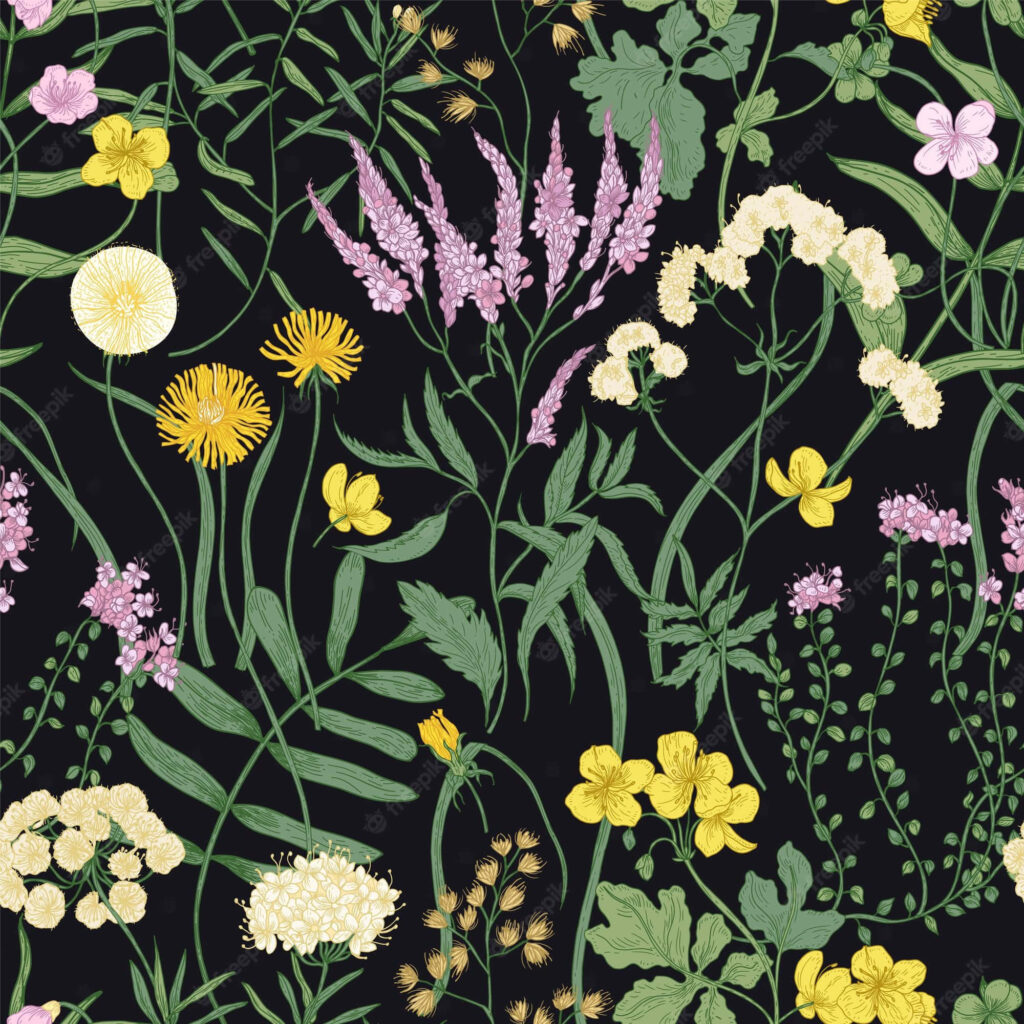 Vibrant Botanical Wallpaper: Perennial Flowers on Dark Background