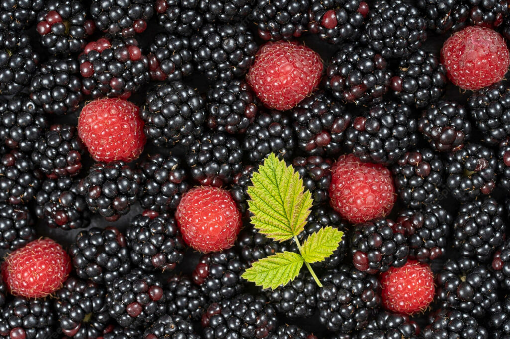 Vibrant wallpaper of glossy boysenberries and raspberries with green leaf natural fruit background