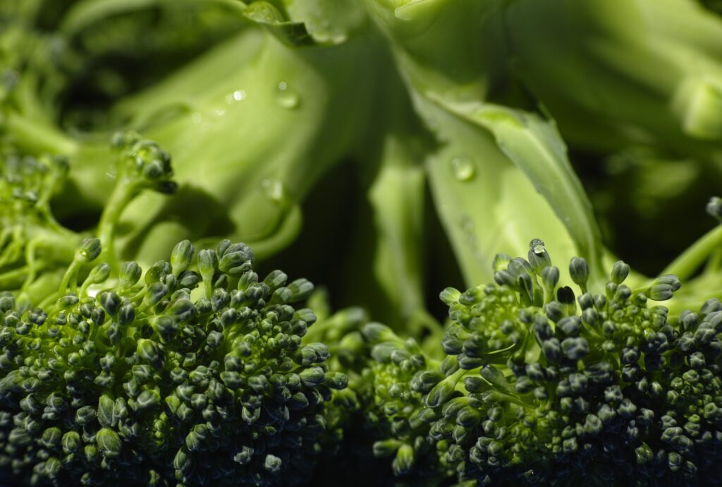 Vibrant Broccoli Close-Up: Intricate Florets & Natural Texture Wallpaper