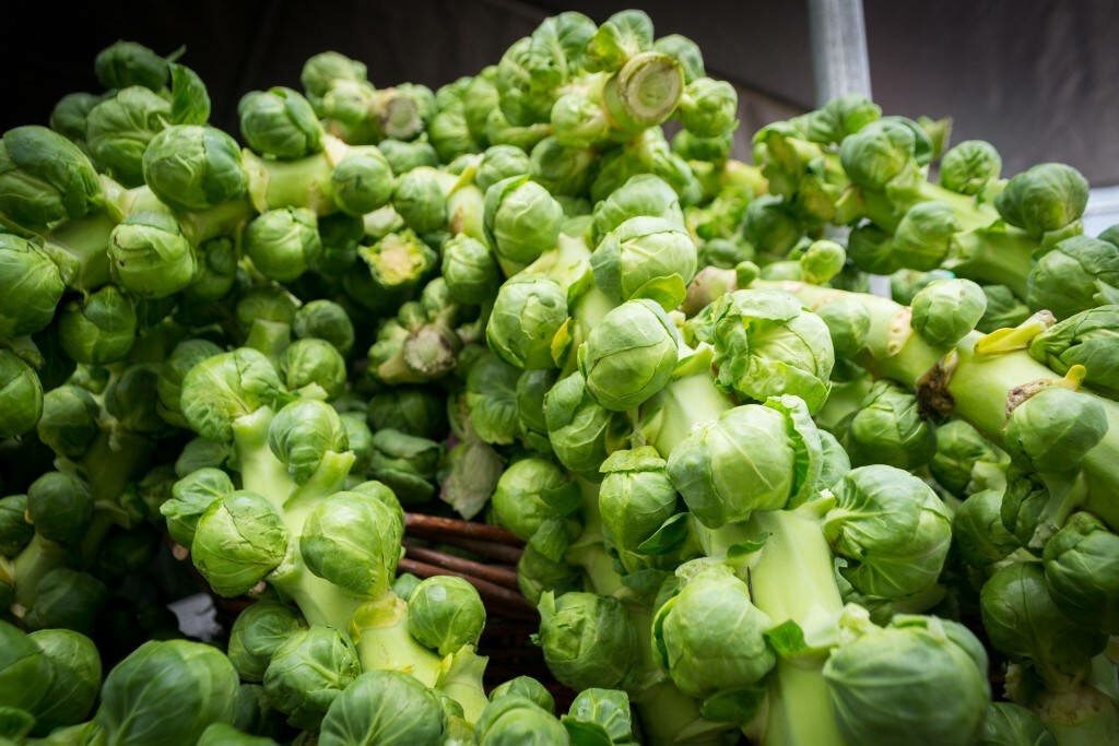 Vibrant Wallpaper: Fresh Green Brussels Sprouts on Their Stems