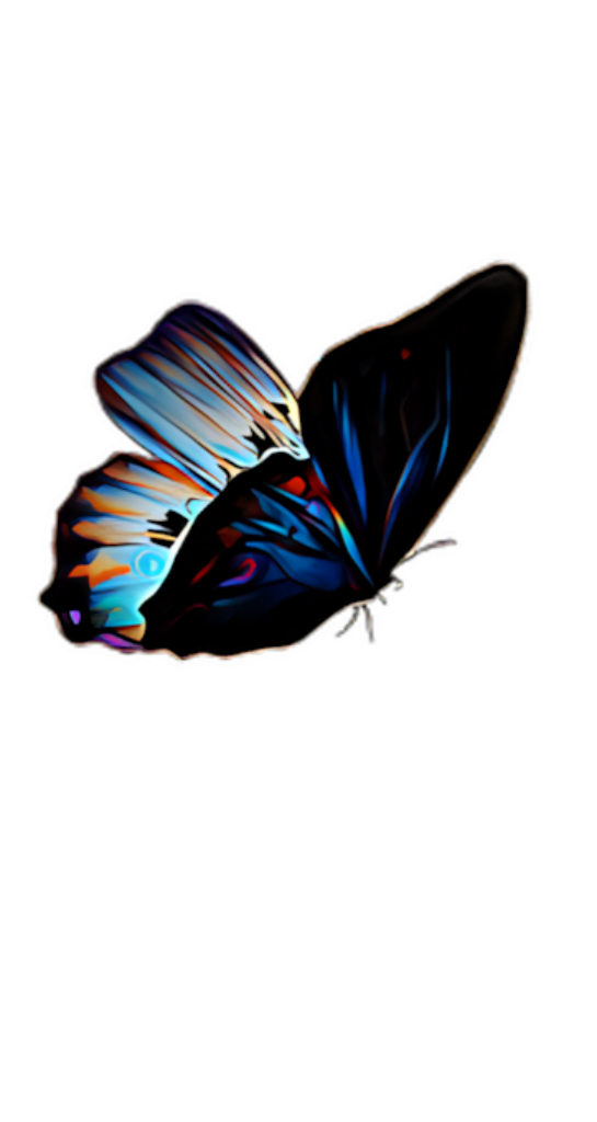 Vibrant Butterfly Artwork Wallpaper: Blue, Orange & Black Patterns