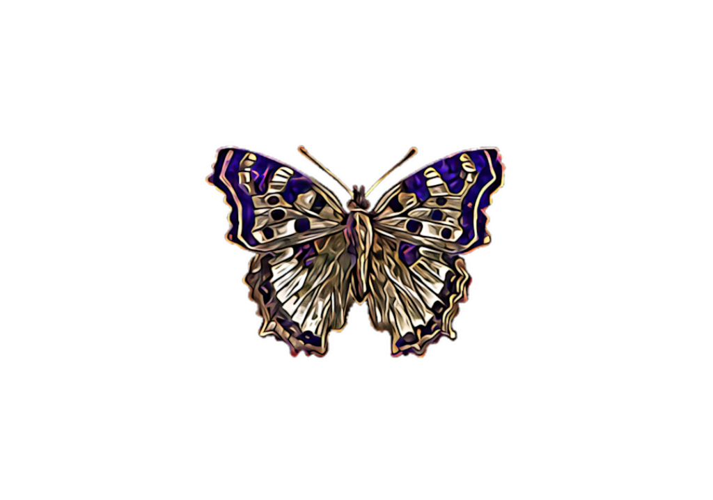 Vibrant Butterfly Art: Intricate Patterns for Stunning Wallpaper