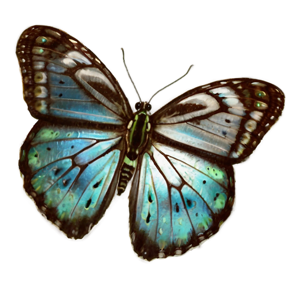 Vibrant Butterfly Illustration: Blue & Green Patterns Wallpaper