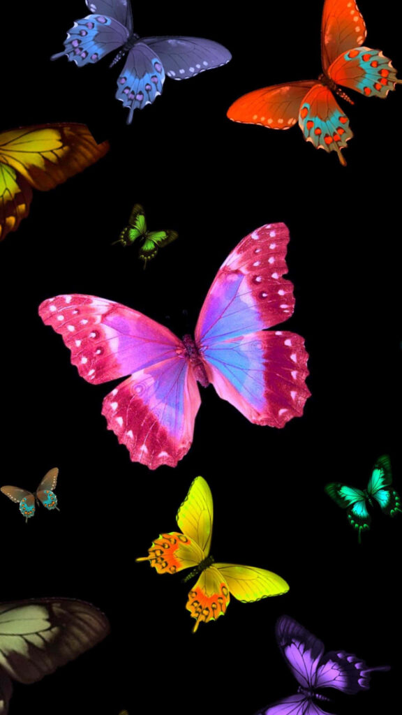 Aesthetic Butterfly Wallpaper: Vibrant Colorful Designs on Dark Background