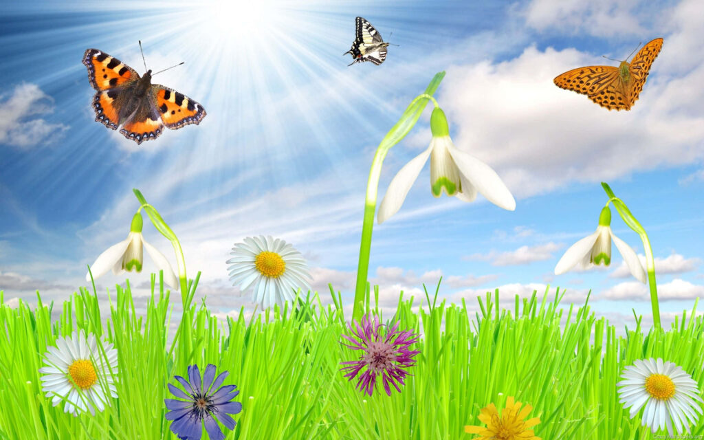 Colorful Butterflies and Flowers Under Sunny Sky - Wallpaper Background