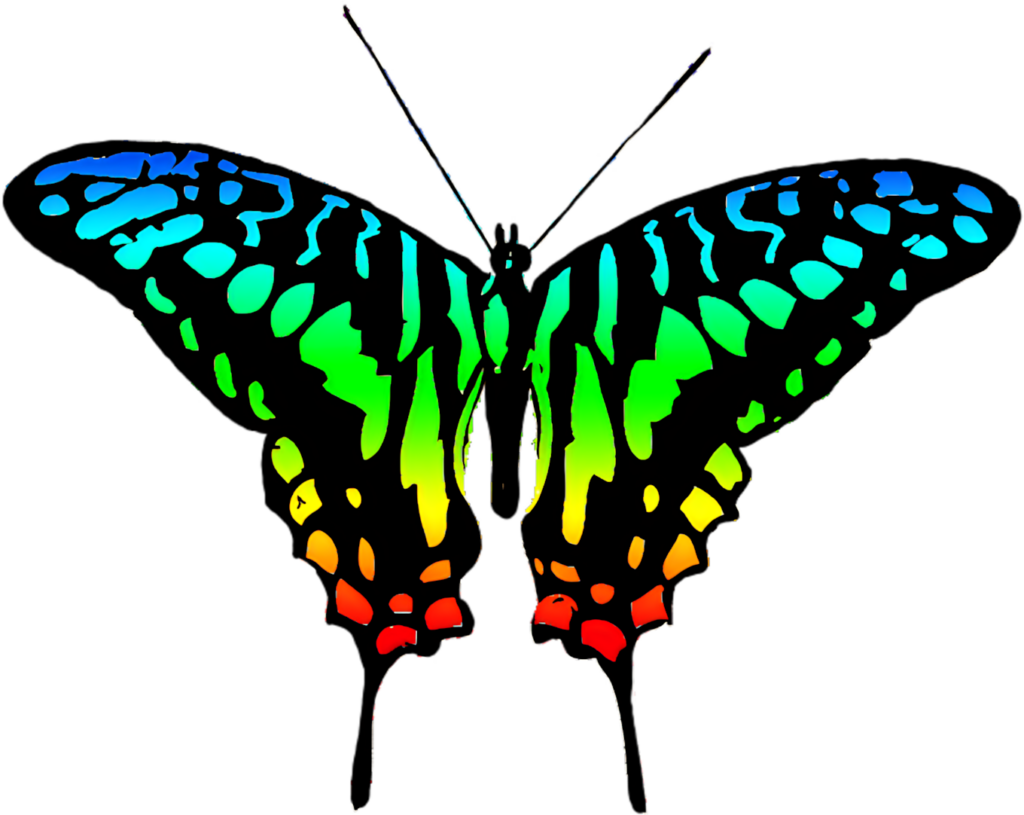 Vibrant Butterfly Illustration | Colorful Gradient Wallpaper Background