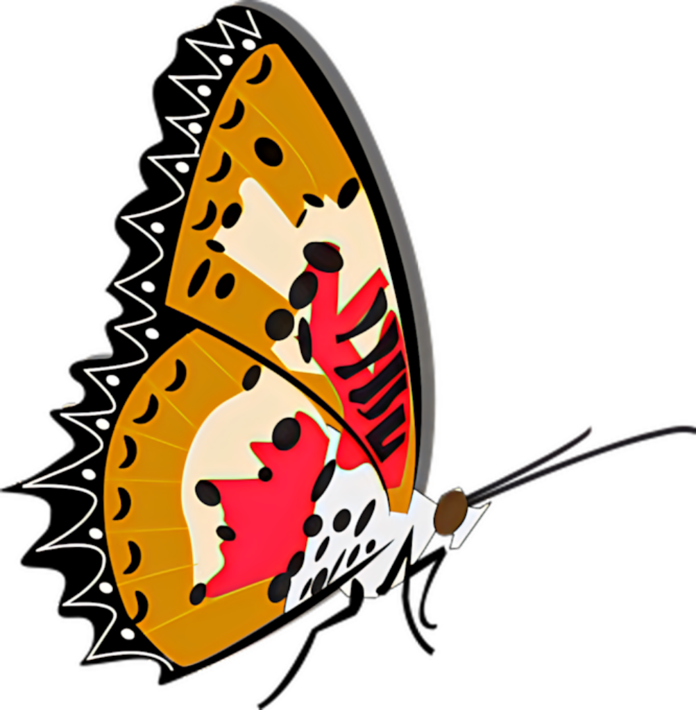 Vibrant Butterfly Illustration: Colorful Patterns & Artistic Wallpaper