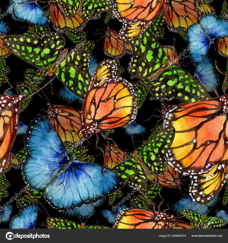 Colorful Butterfly Wallpaper: Monarchs on Dark Vibrant Background