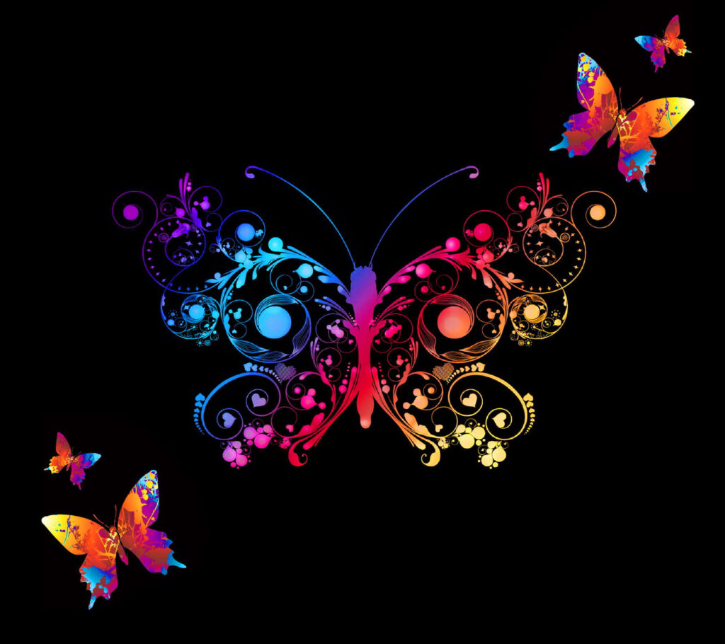 Vibrant Butterfly Wallpaper: Colorful Patterns on Black Background