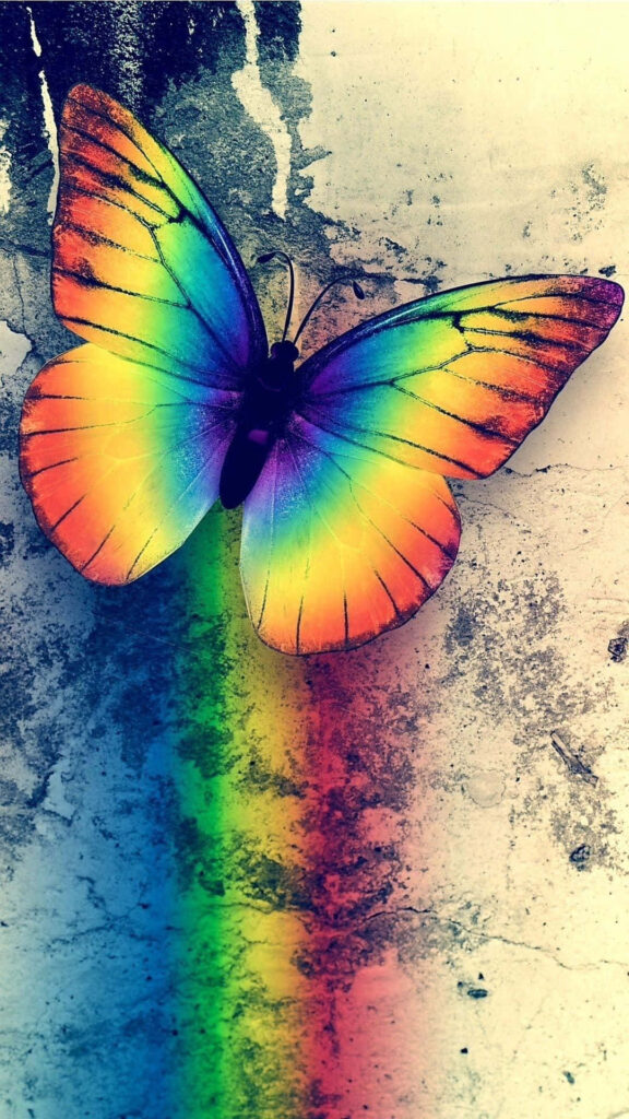 Vibrant Butterfly Wallpaper: Colorful Wings with Rainbow Glow Texture