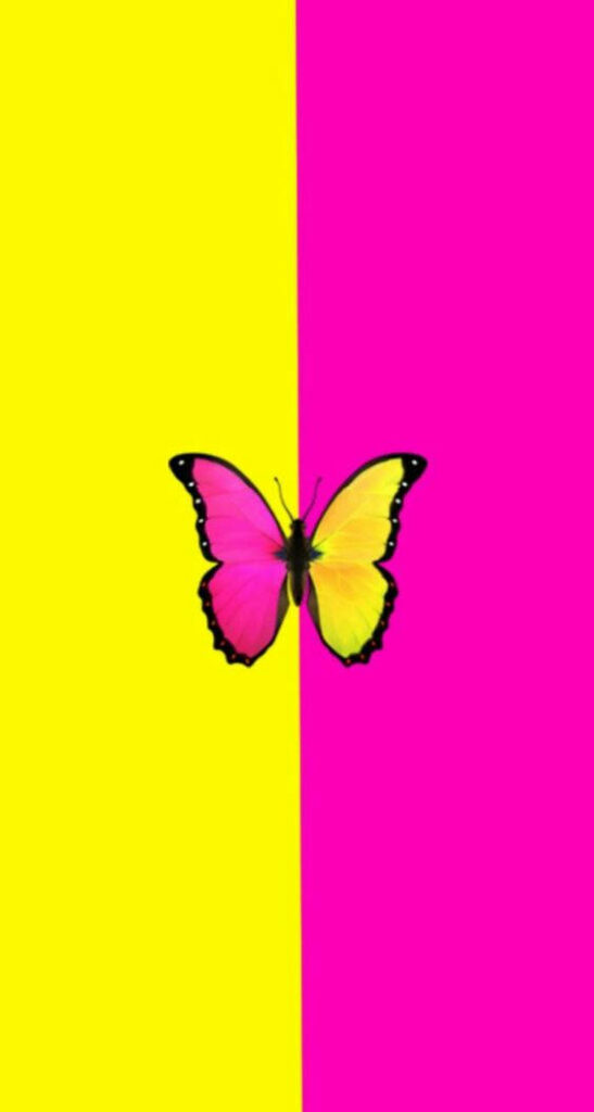 Colorful Butterfly Wallpaper: Vibrant Yellow & Pink Background Design