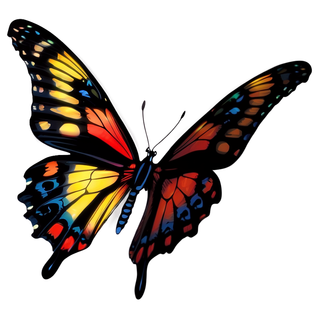 Vibrant Butterfly Graphic Wallpaper: Intricate, Colorful Design