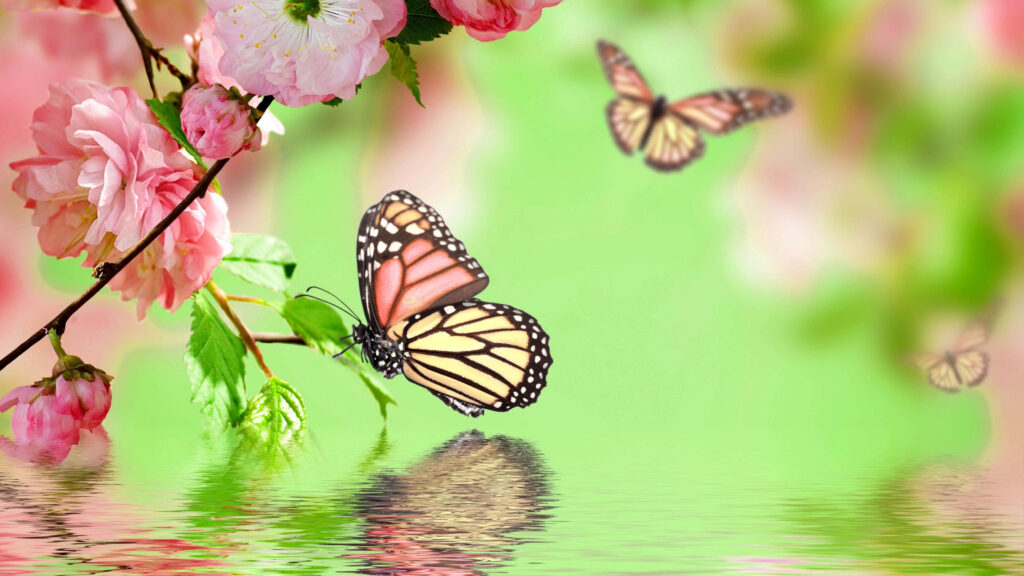 Vibrant Butterfly Wallpaper: Pink Flowers & Serene Green Background