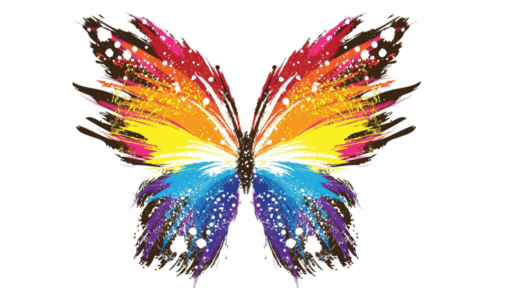 Colorful Butterfly Wallpaper: Vibrant Art on Clean White Background