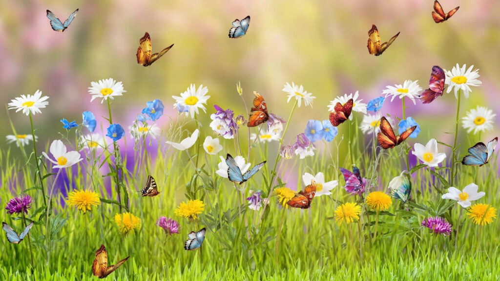 Serene Butterfly Wallpaper: Vibrant Garden of Colorful Flowers