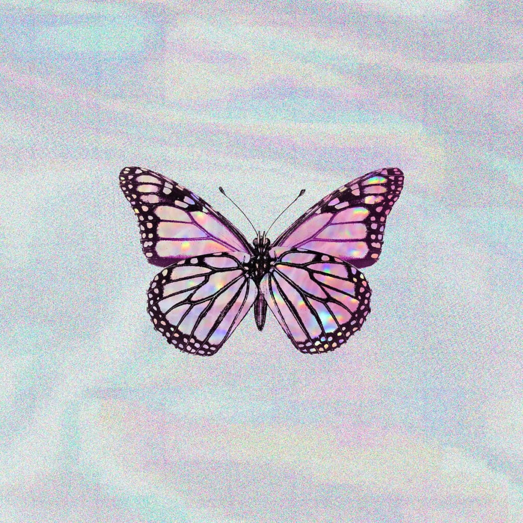 Vibrant Butterfly Wallpaper with Intricate Patterns & Soft Background