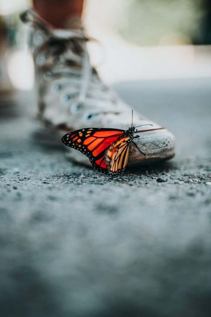 Vibrant Butterfly on Scuffed Sneaker: Stunning Wallpaper Background