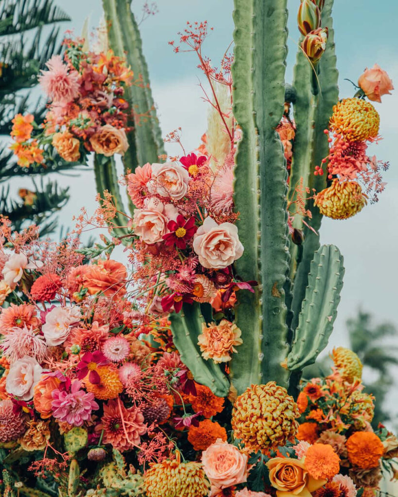 Vibrant Cacti and Colorful Flowers Wallpaper - Desert Garden Aesthetic