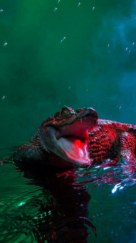 Vibrant Caiman Wallpaper: Striking Green and Red Atmosphere