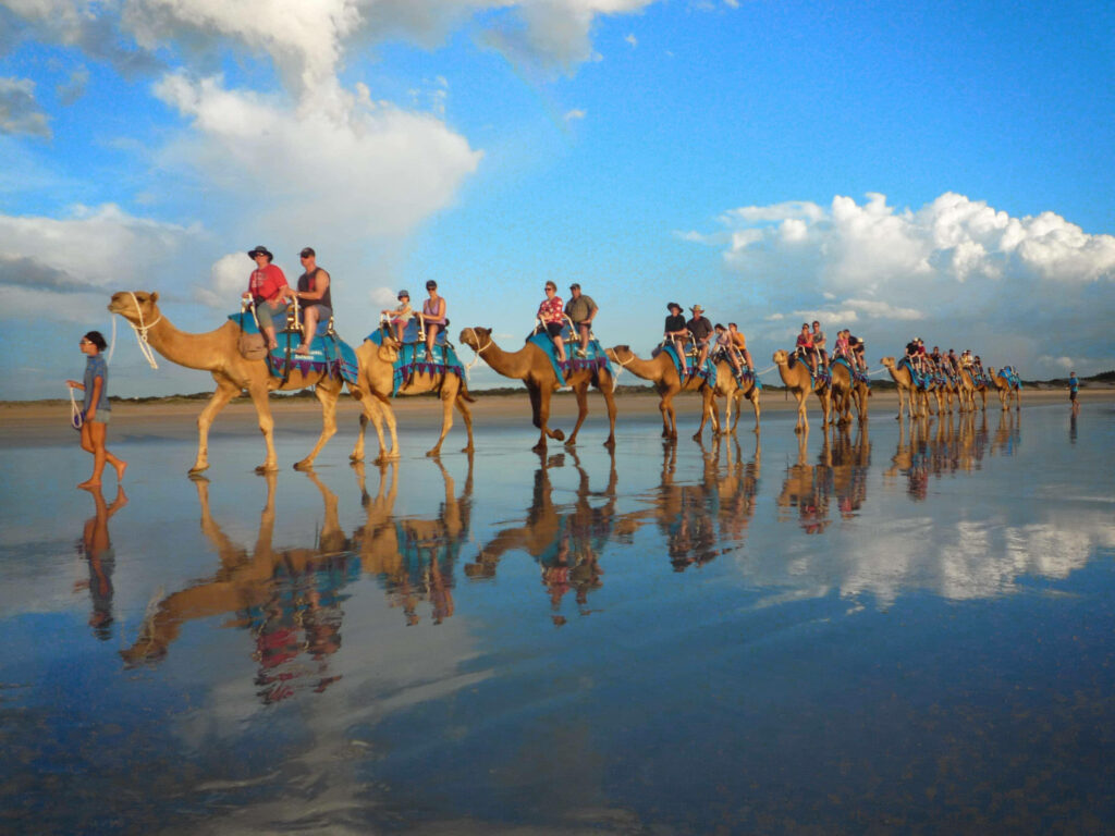 Camels carrying tourists on reflective wet sandy beach under blue sky with white clouds wallpaper