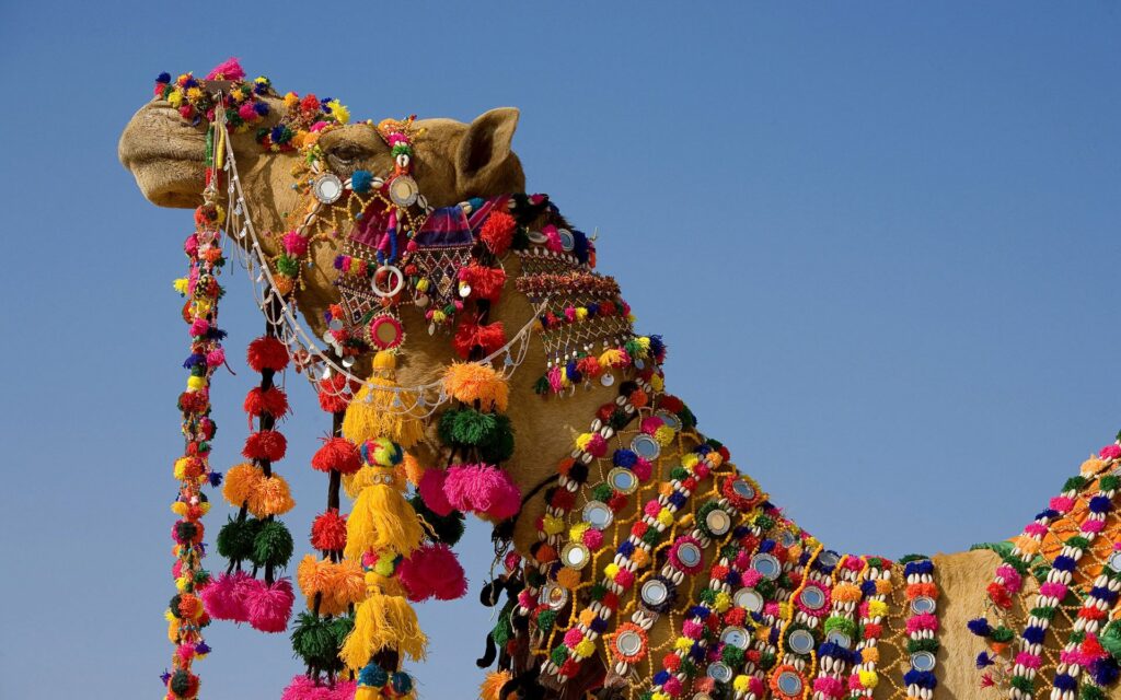 Vibrant Camel Wallpaper Against Clear Blue Sky - Traditional Decor