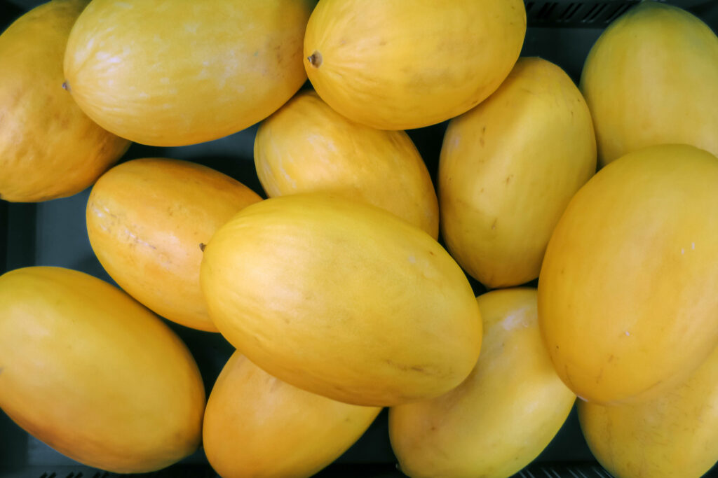 Vibrant heap of fresh canary melons with smooth bright yellow skins and oval shapes background Wallpaper