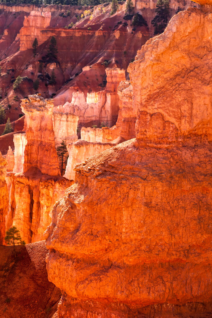 Vibrant canyon wallpaper with orange red rock formations and natural textured landscape background