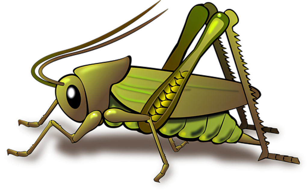 Vibrant Cartoon Grasshopper Wallpaper: Playful & Whimsical Design