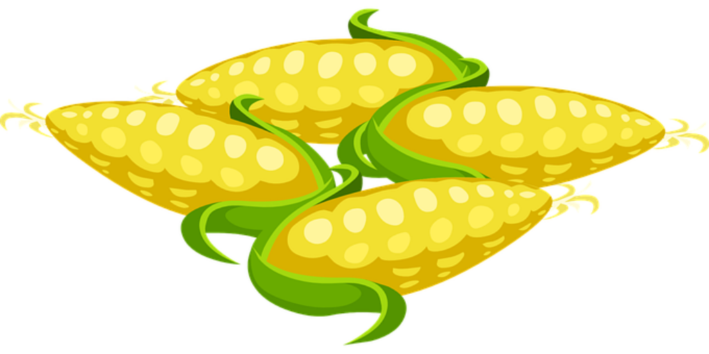 Vibrant Cartoon Corn Cobs with Green Husks | Fresh Wallpaper Background