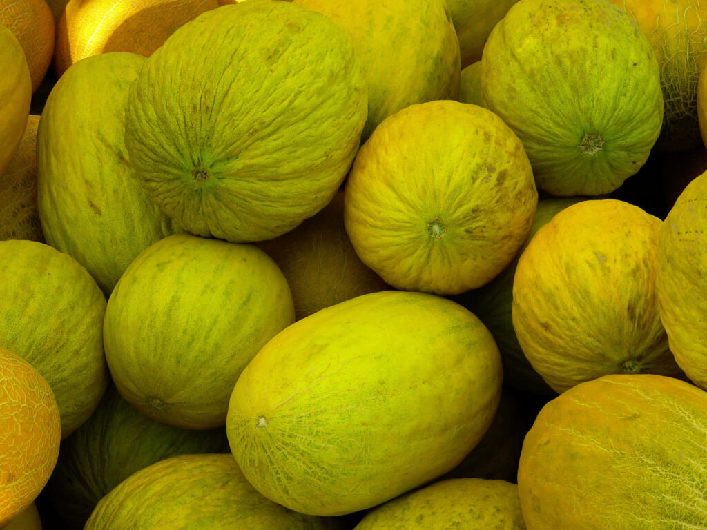 Vibrant Casaba Melons Wallpaper: Fresh Yellow-Green Texture