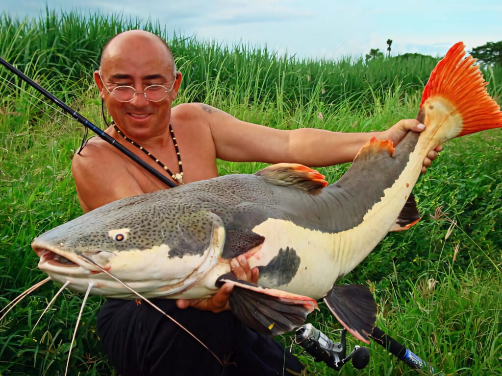 Angler holding large vibrant catfish with striking orange fins by green riverside background Wallpaper