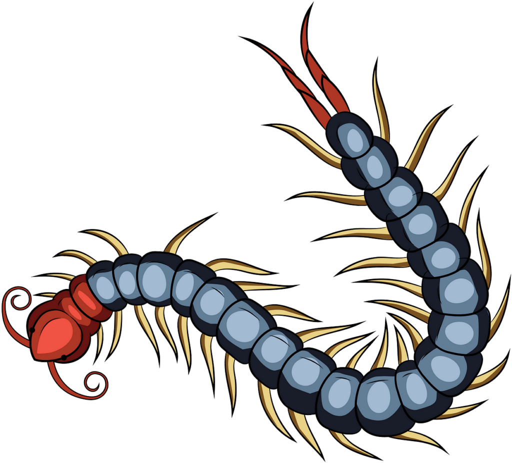 Vibrant Centipede Wallpaper: Striking Blue & Red Illustration