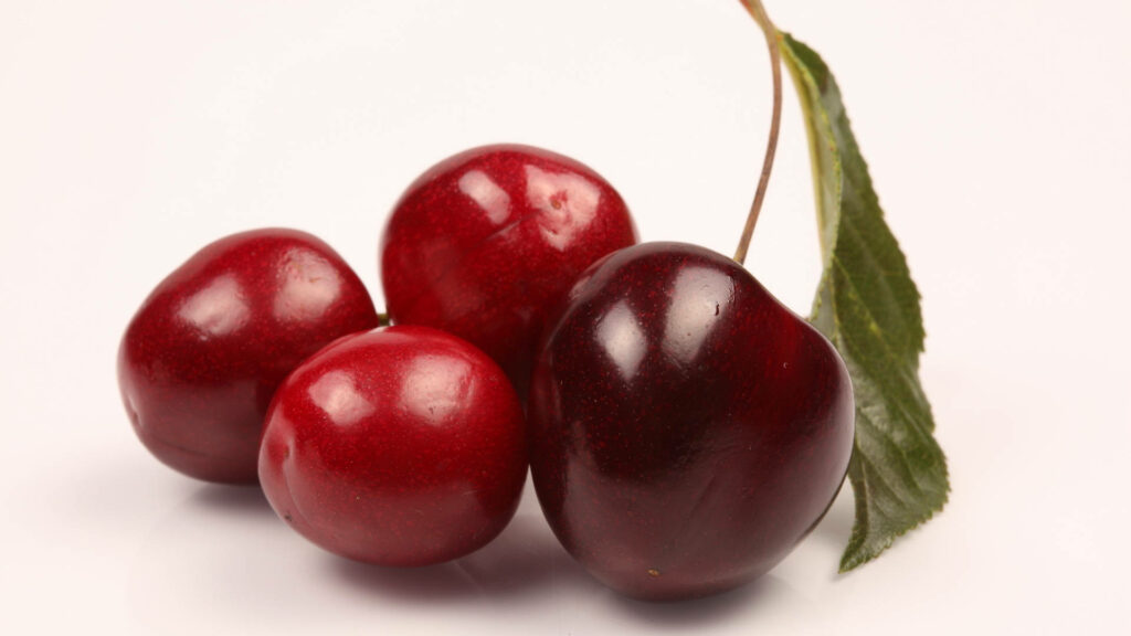 Close-up of vibrant glossy cherries in varying red shades on white background fresh fruit wallpaper