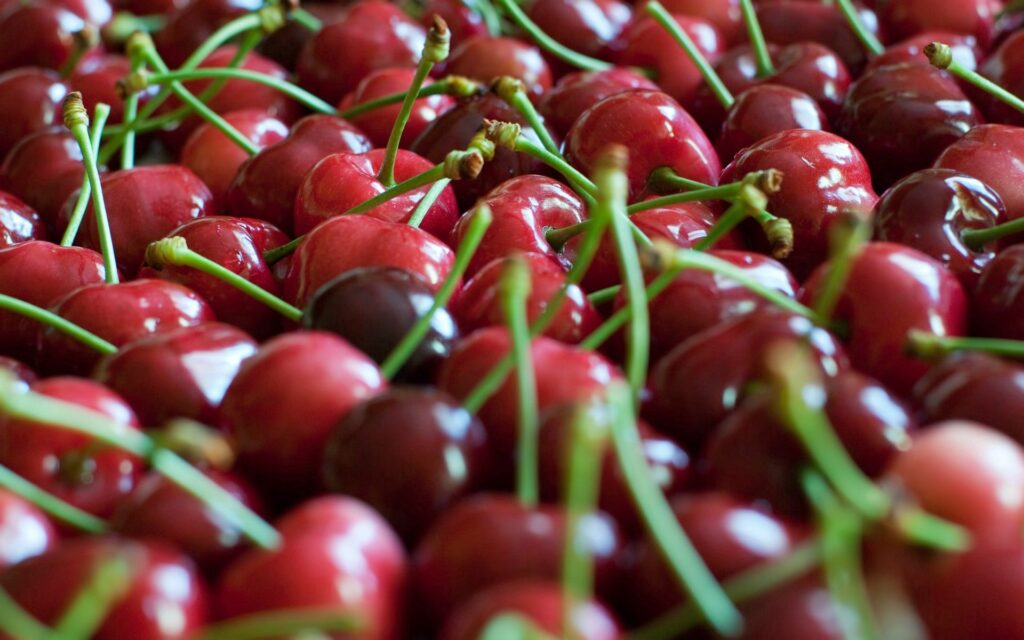Vibrant Cherry Wallpaper: Close-Up of Glossy Ripe Red Cherries