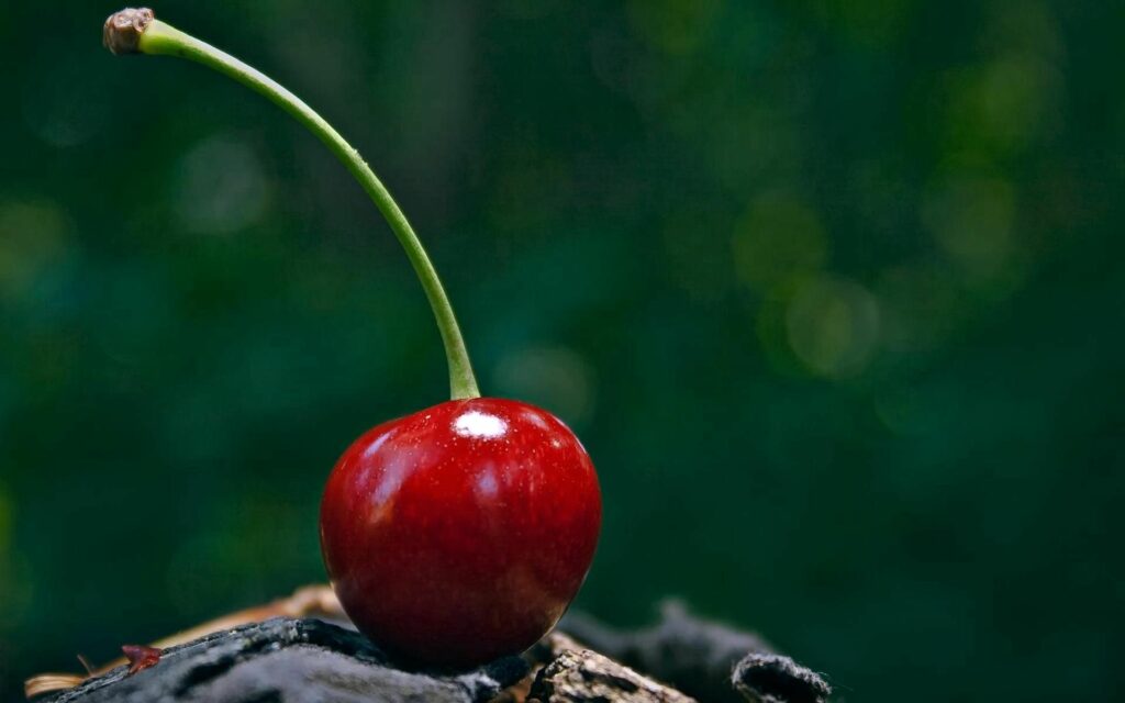 Vibrant Cherry Wallpaper: Glossy Fruit on Textured Surface