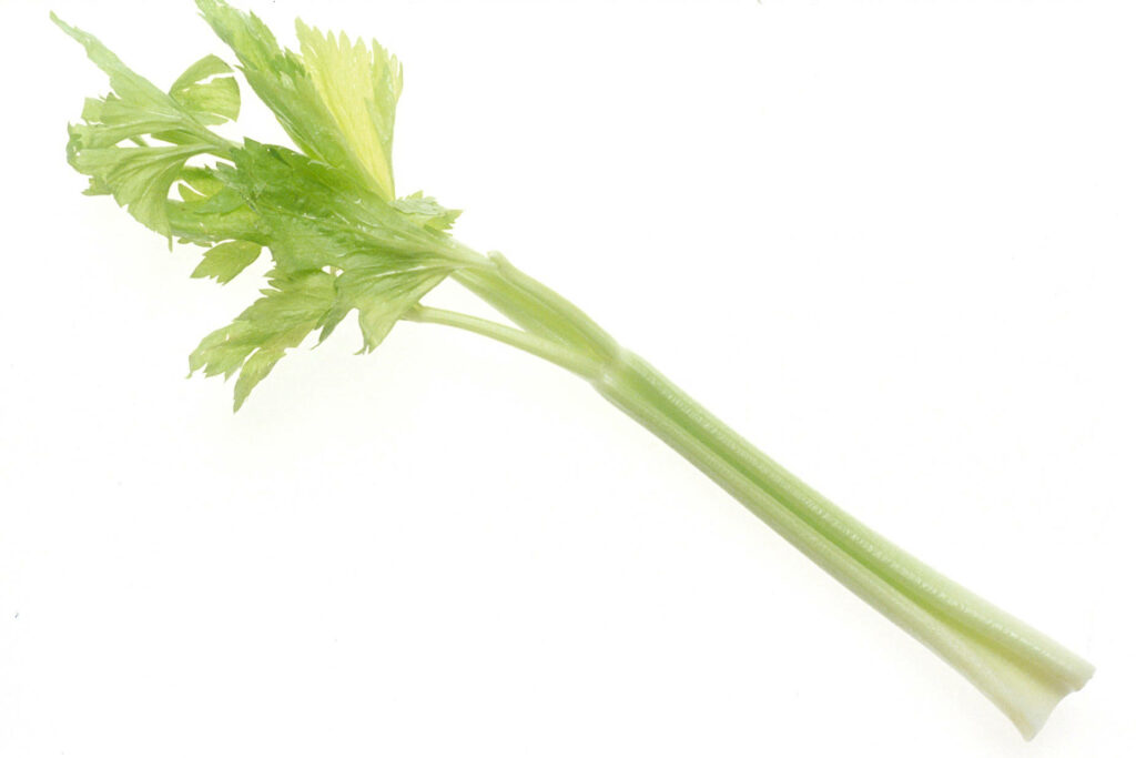 Fresh Chinese Leaf Celery Wallpaper - Vibrant Green Background