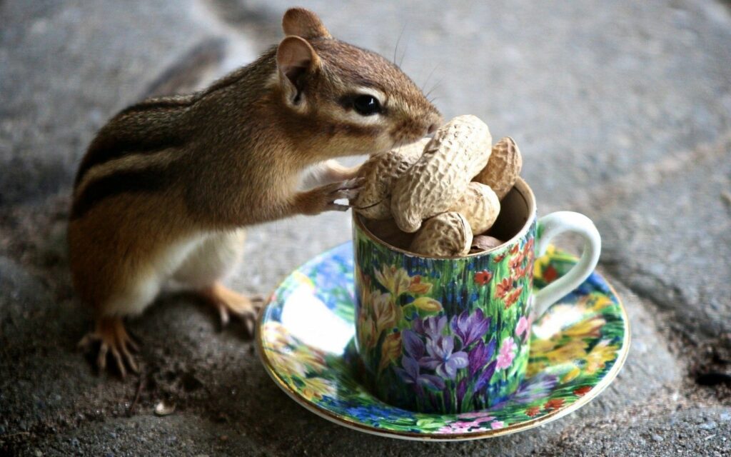Playful Chipmunk with Colorful Floral Mug - Charming Wallpaper