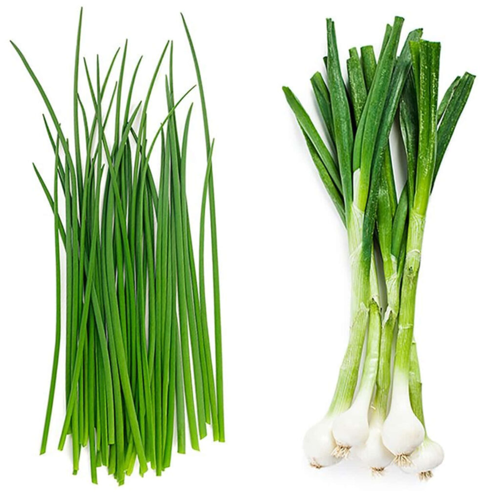 Vibrant Common & Onion Chives Wallpaper - Fresh Botanical Background