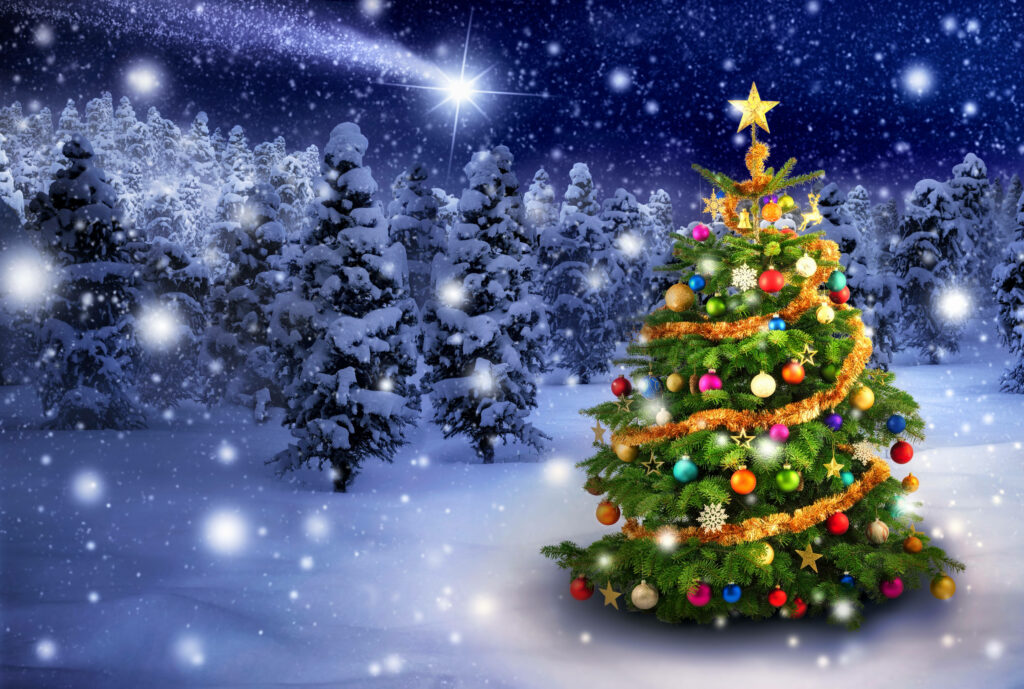 Festive Christmas Tree in Snowy Landscape with Shooting Star Background Wallpaper