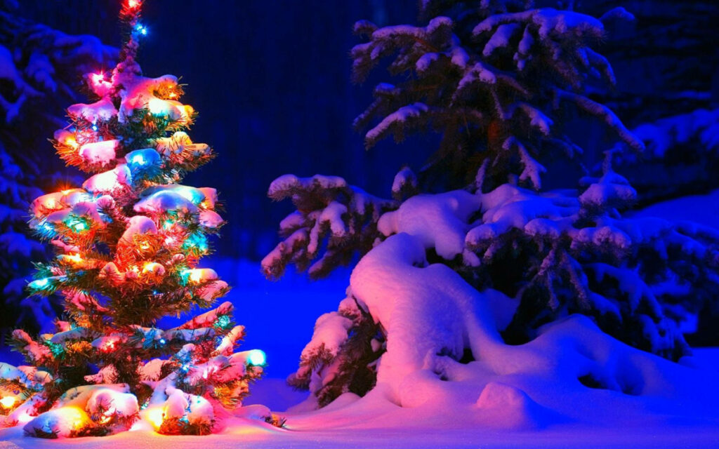 Enchanting Christmas Tree Wallpaper: Vibrant Lights in Snowy Forest