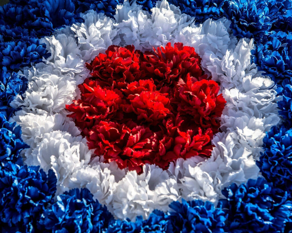 Vibrant Circular Flower Arrangement: Red, White, and Blue Design Wallpaper
