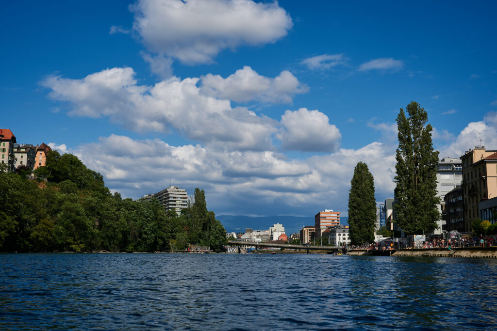 Vibrant City River Scene Wallpaper: Modern Skyscrapers & Greenery